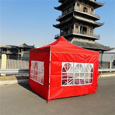 10 x 10 carpas